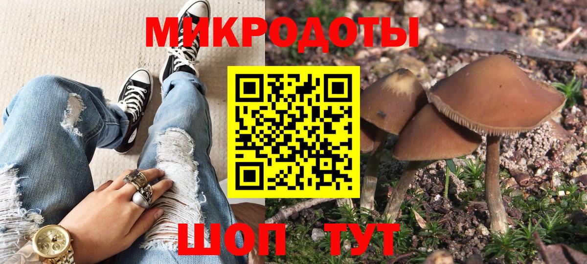Галлюциногенные грибы MAGIC MUSHROOMS  Вход с VPN  цена наркотик  Псилоцибиновые грибы GOLDEN TEACHER  Южно-Сахалинск 