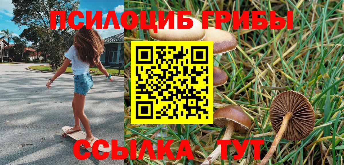 Псилоцибиновые грибы мухоморы Южно-Сахалинск